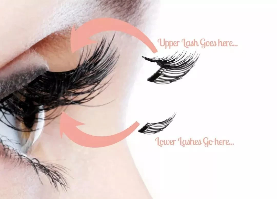 magnetic false eyelashes